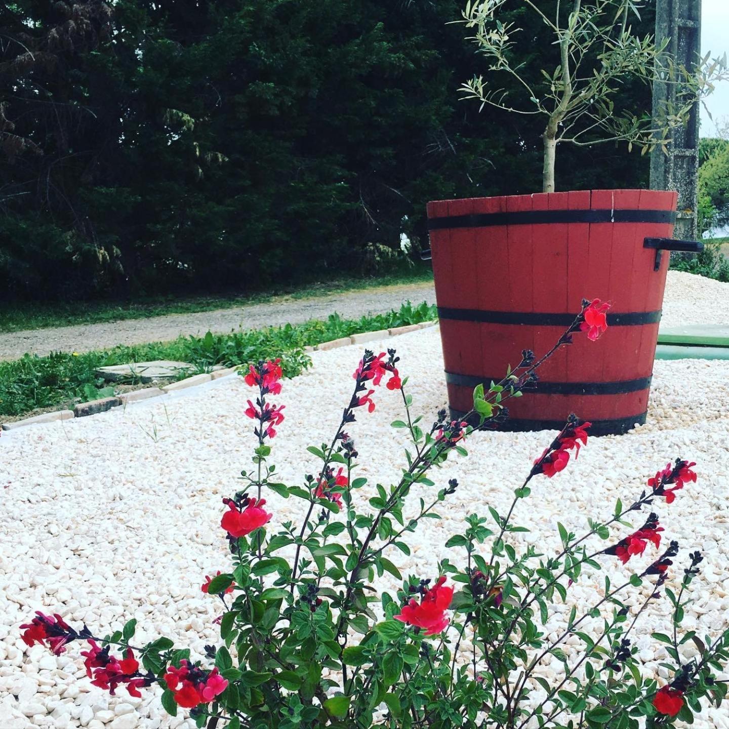 Gite Des Moulins Castelnau-dʼEstrétefonds Extérieur photo
