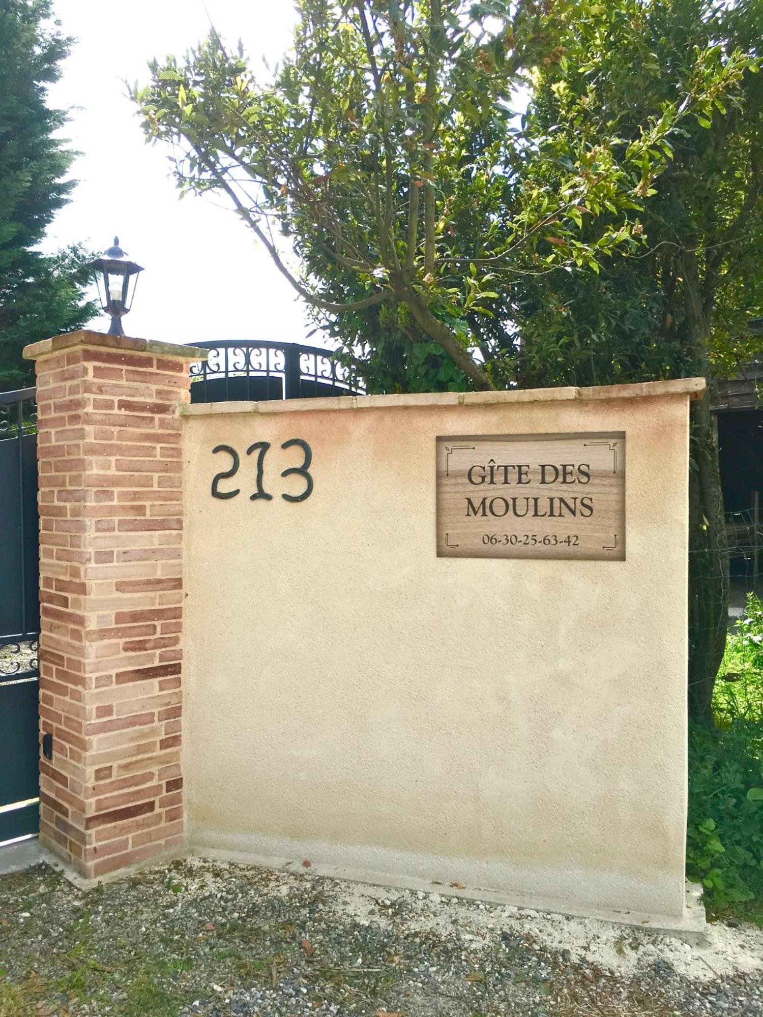 Gite Des Moulins Castelnau-dʼEstrétefonds Extérieur photo