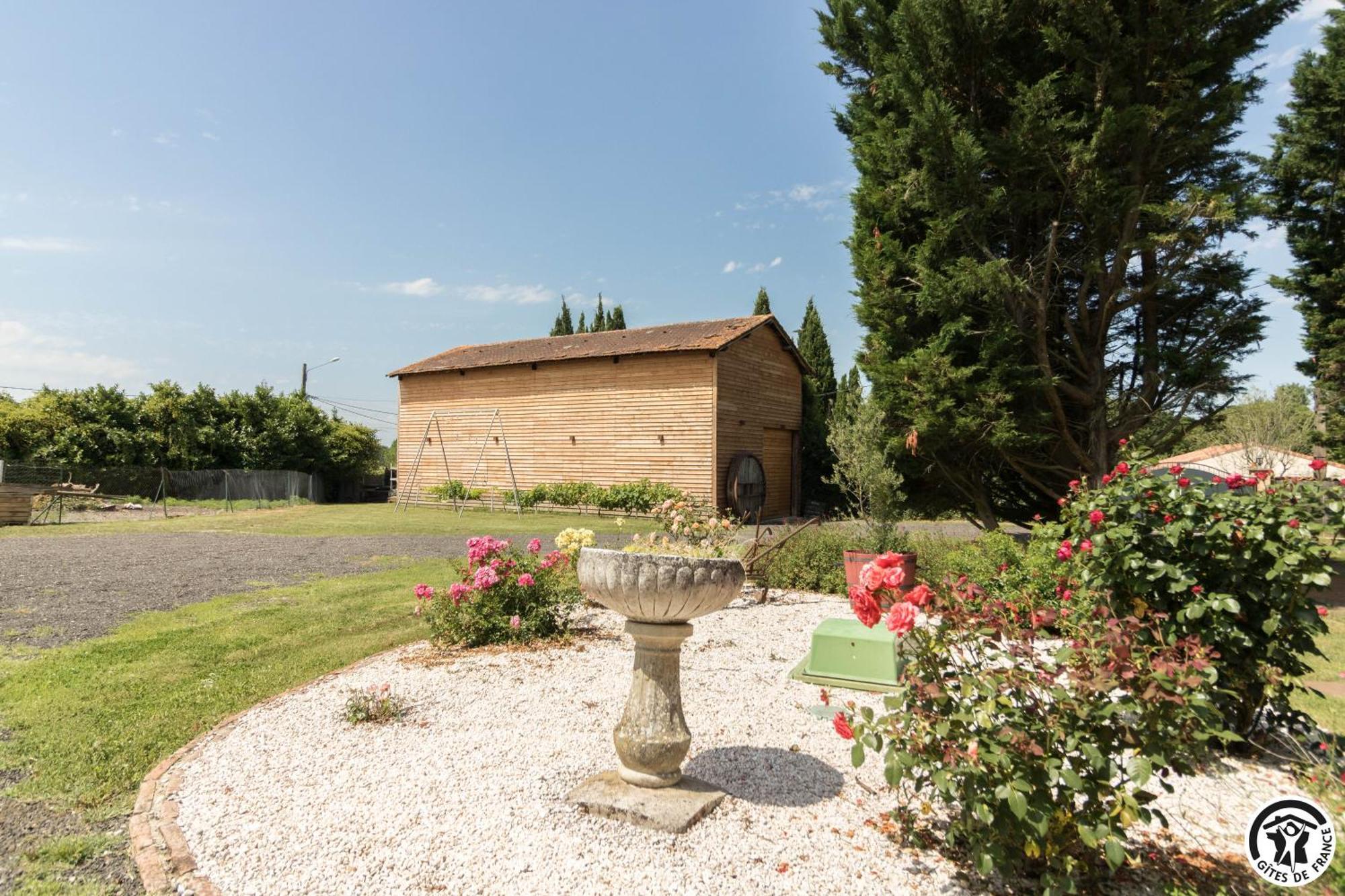 Gite Des Moulins Castelnau-dʼEstrétefonds Extérieur photo